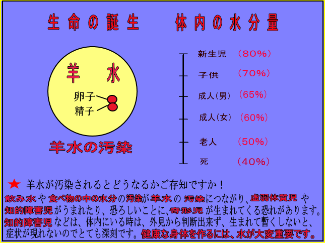 アミンヴィ