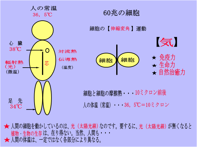 アミンヴィ