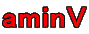 aminV
