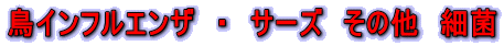 CtGU@E@T[Y@̑@׋
