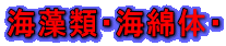 海藻類・海綿体・