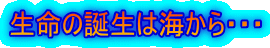 生命の誕生は海から・・・